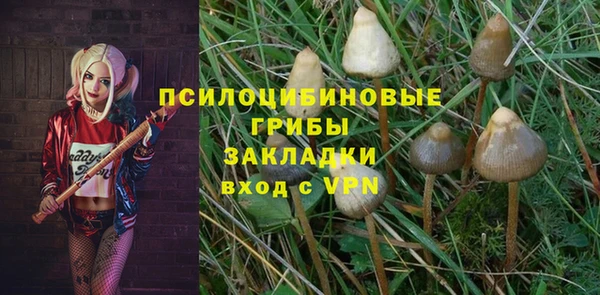 прущие грибы Пролетарск