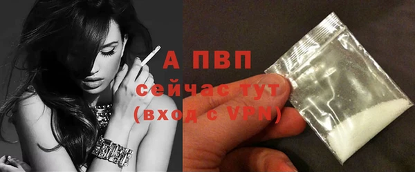 прущие грибы Пролетарск