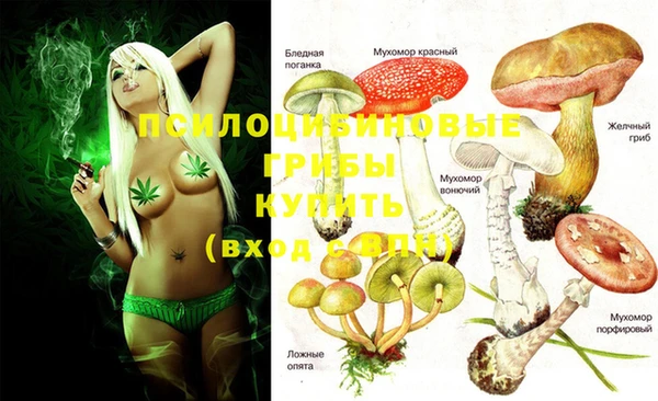 дурь Покров