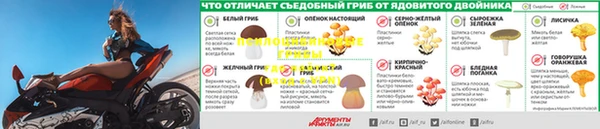 амф Протвино