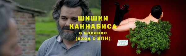 прущие грибы Пролетарск