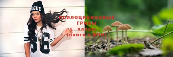 амф Протвино