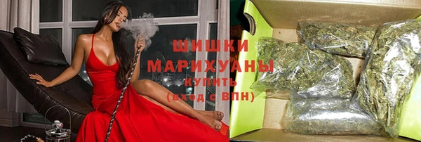 прущие грибы Пролетарск