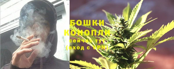 прущие грибы Пролетарск